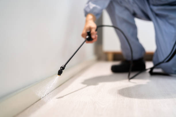 Licensed Cockroach Control service in Yazoo City, MS - Nex Pest Control