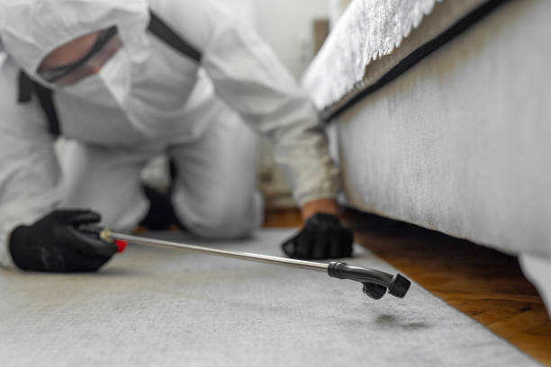 Professional Cockroach Control technician working in Yazoo City, MS