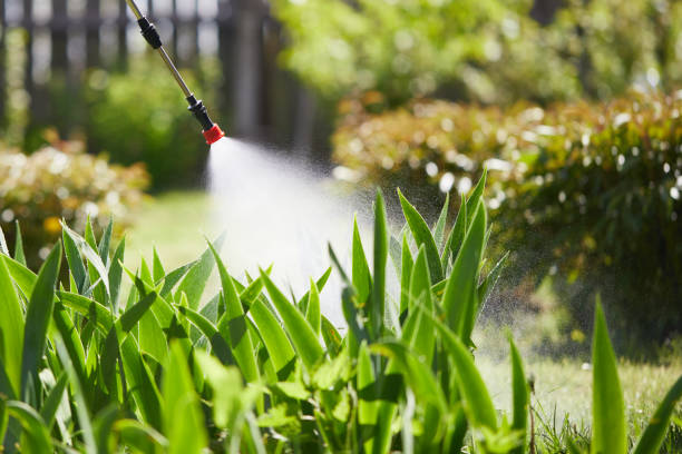 24/7 Emergency Cockroach Control experts in Yazoo City, MS