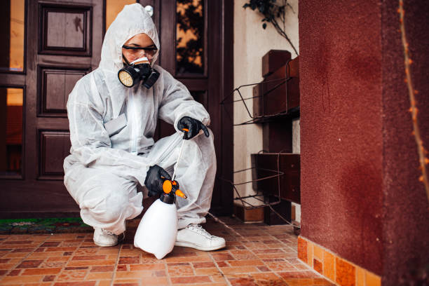 Reliable Cockroach Control contractor in Yazoo City, MS by Nex Pest Control
